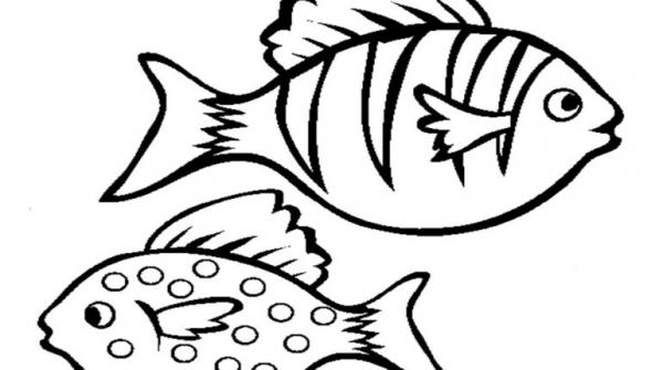 Oscar (Fish) coloring