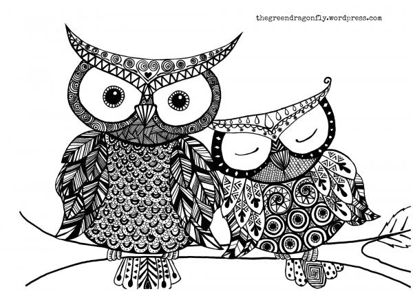 preview Owl coloring