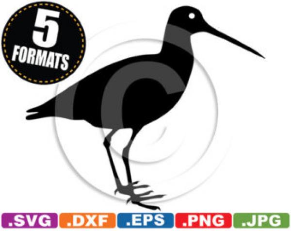 preview Oystercatcher svg