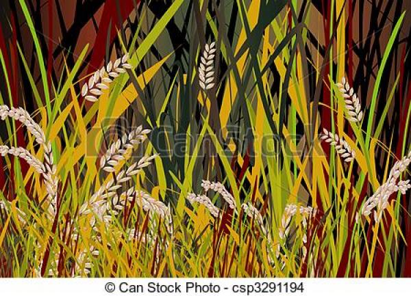 Paddy Field clipart