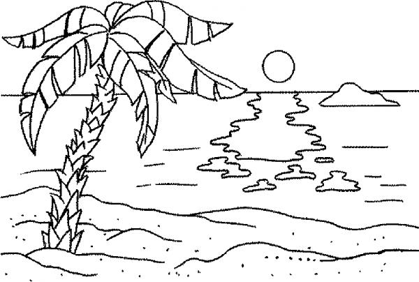 preview Palm Beach coloring