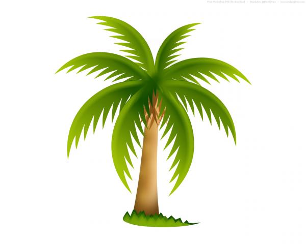 preview Palm Tree clipart