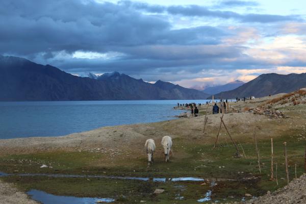 Pangong Lake svg