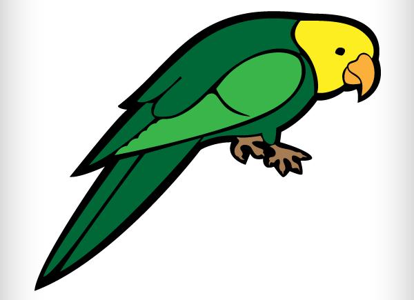 Parakeet clipart