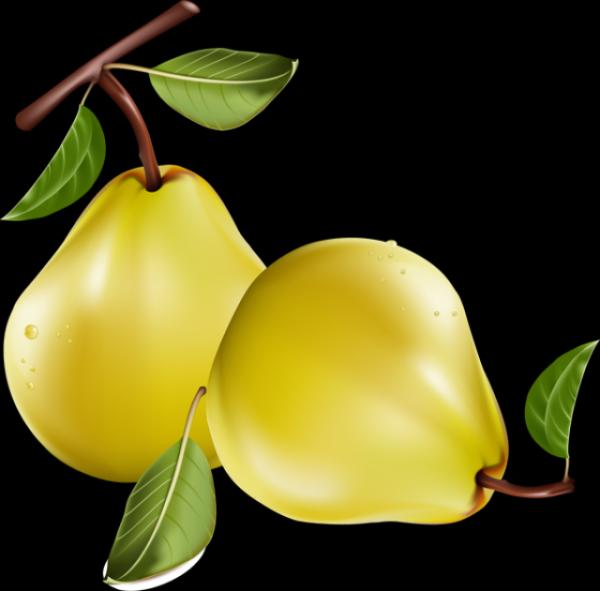 Pear clipart