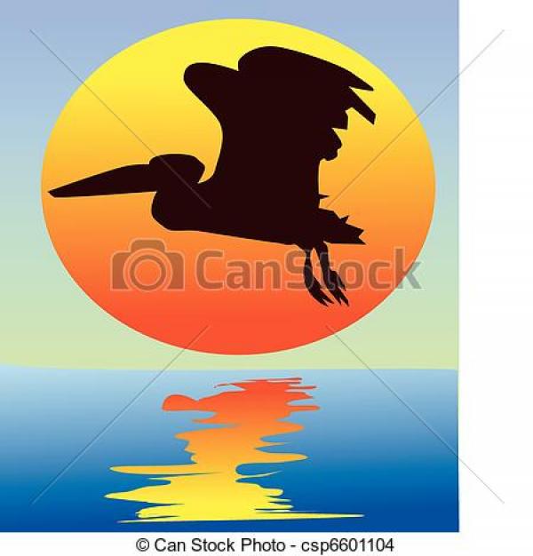 Pelican clipart