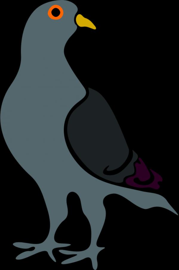 preview Pidgeons svg