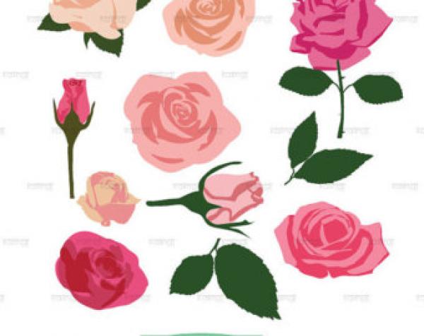 preview Rose svg