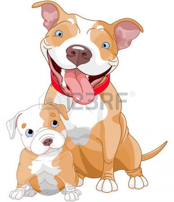 Pitbull clipart