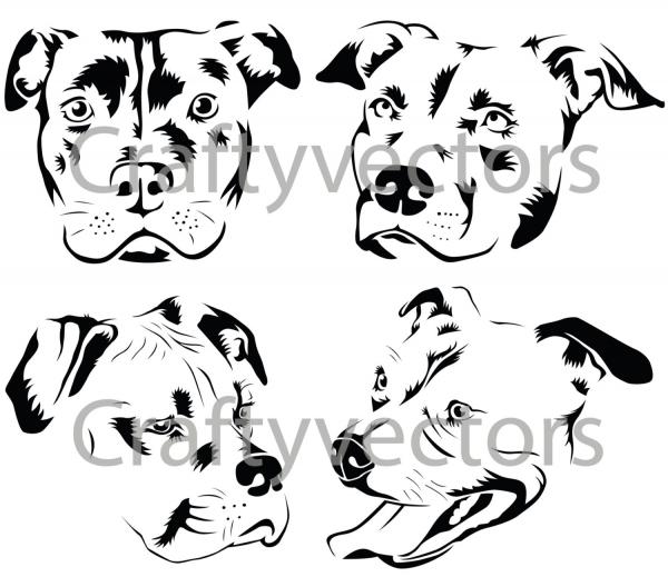 preview Pit Bull svg