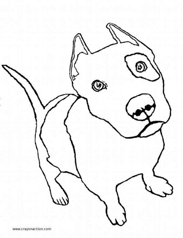 preview Pit Bull coloring