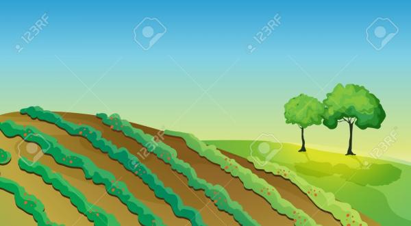 preview Plantation clipart