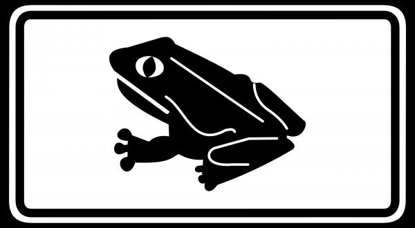 Poison Dart Frog svg