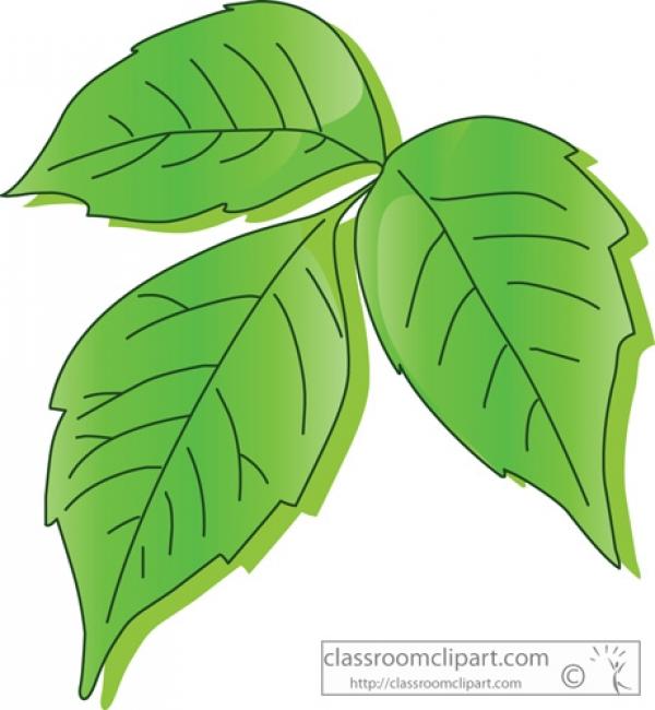 preview Poison Ivy clipart