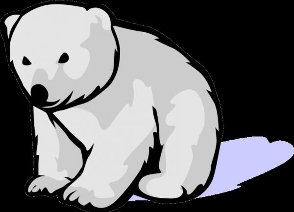 preview Polar  Bear clipart