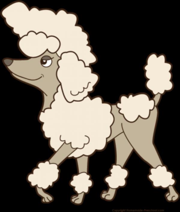 Poodle clipart