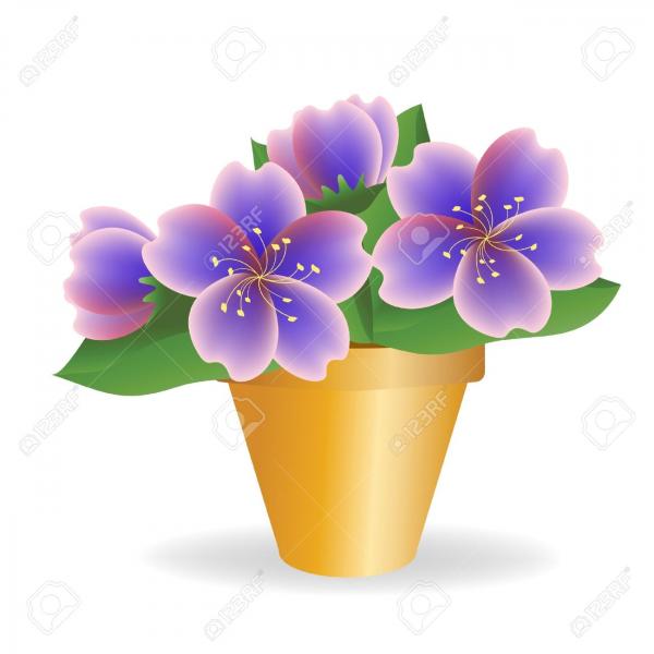 Pot Plant clipart