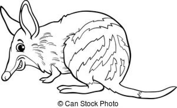 Potoroo clipart