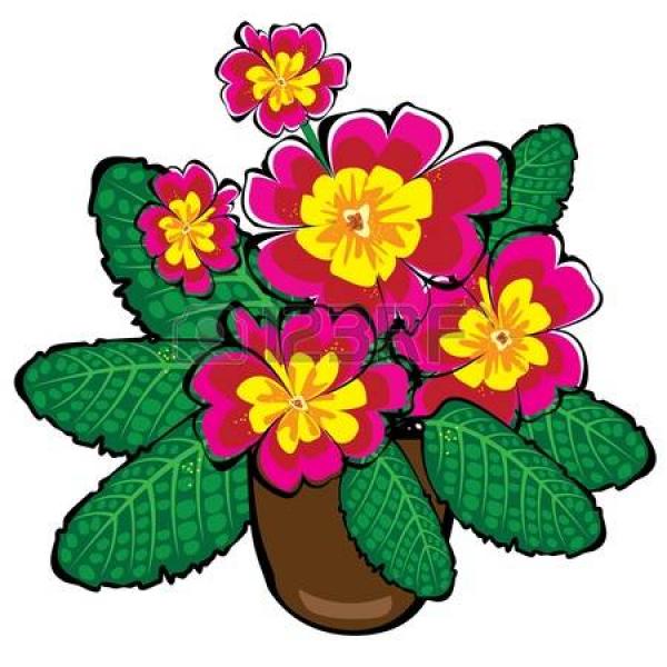 preview Primrose clipart