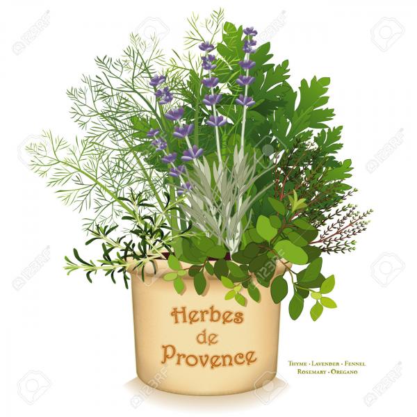 Provence clipart