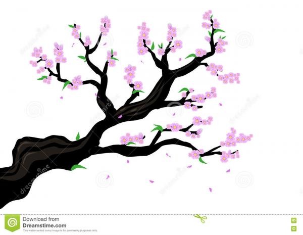 Prunus clipart