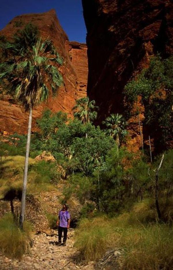 preview Purnululu National Park svg