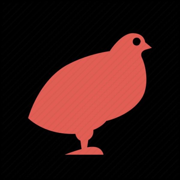 preview Quail svg