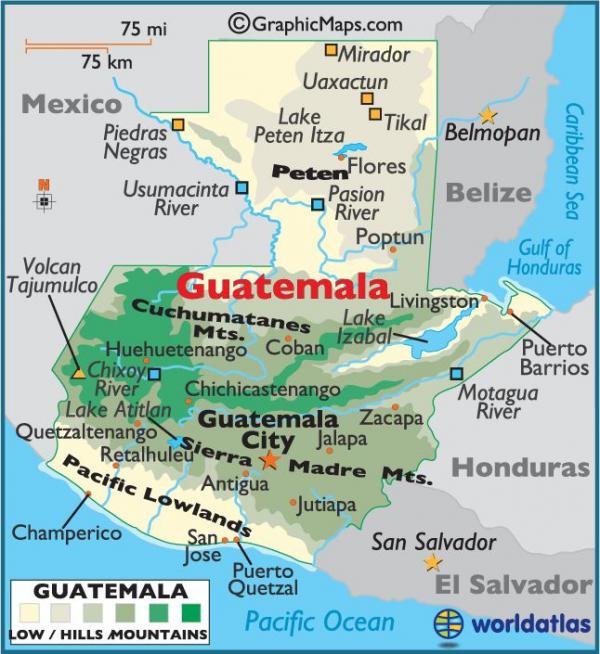 preview Quetzal Of Guatemala svg