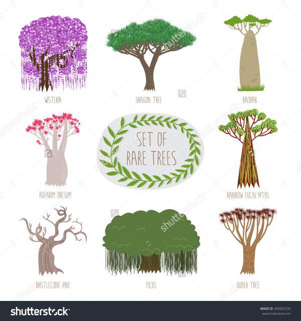 Quiver Tree clipart
