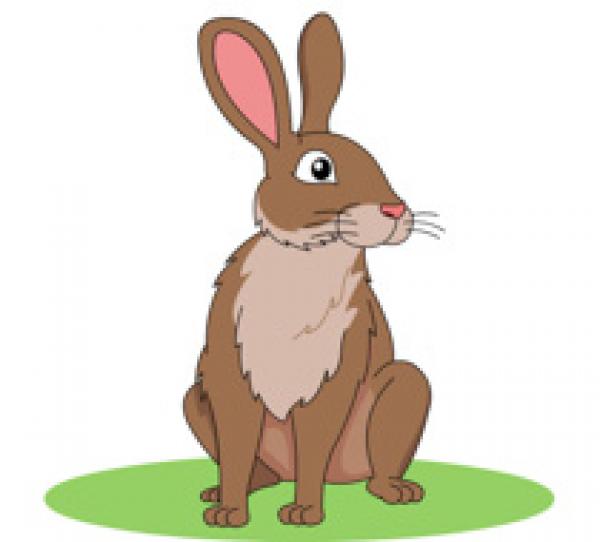 preview Rabbit clipart