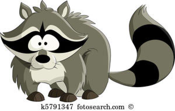 Racoon clipart