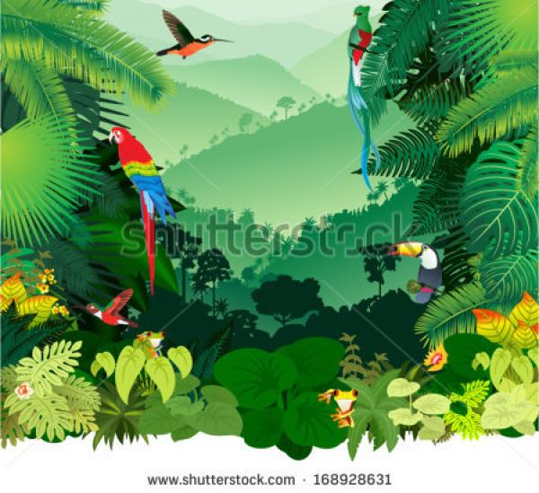 preview Rainforest svg