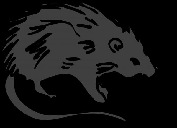 preview New World Porcupine svg