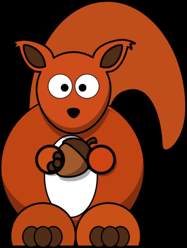 Red Squirrel clipart