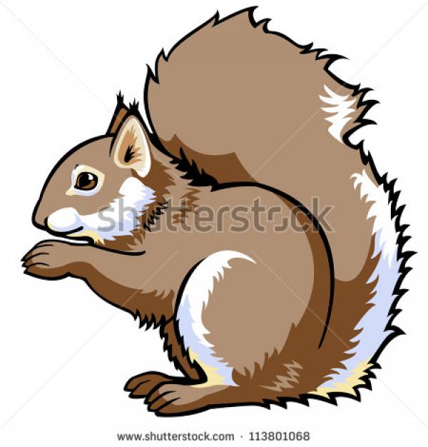 preview Red Squirrel svg