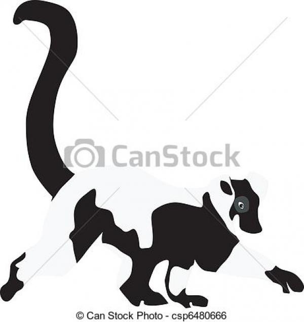 Ring-tailed Lemur clipart