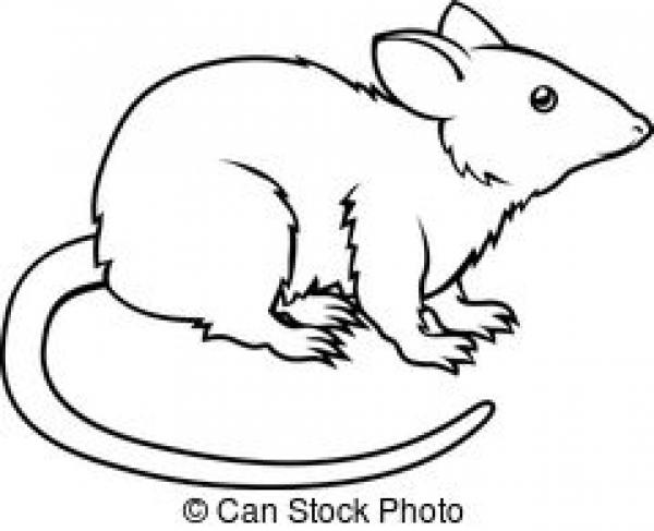 Rodent clipart
