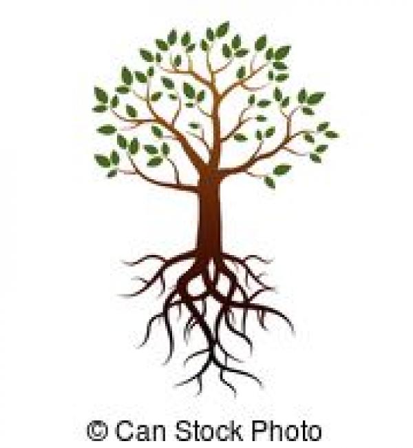 preview Tree Root clipart