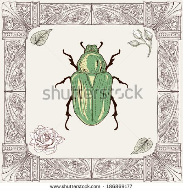 Rose Chafer coloring