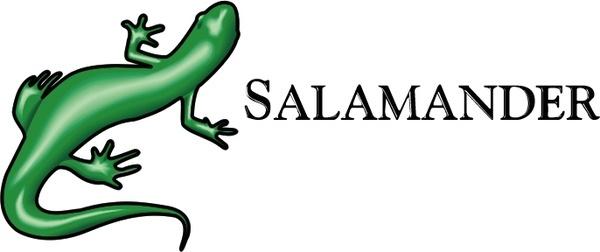 Salamander svg