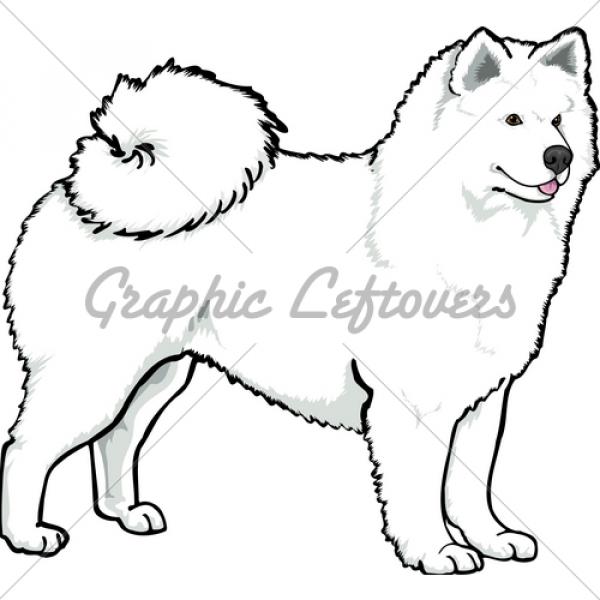 Samoyed clipart