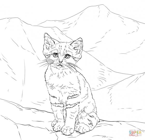 preview Sand Cat coloring