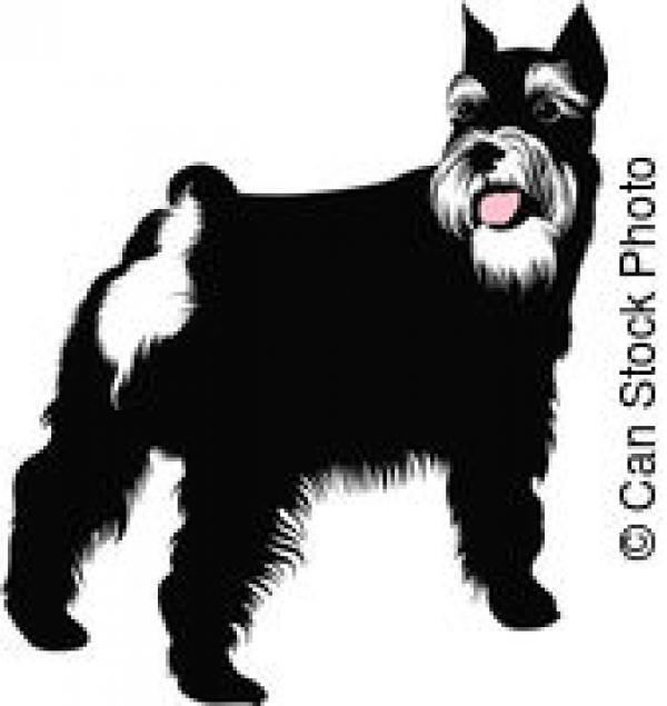 Schnauzer clipart