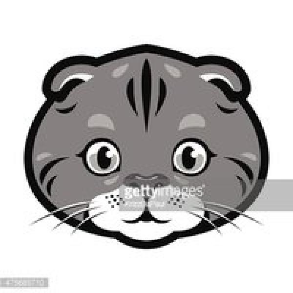 Scottish Fold clipart