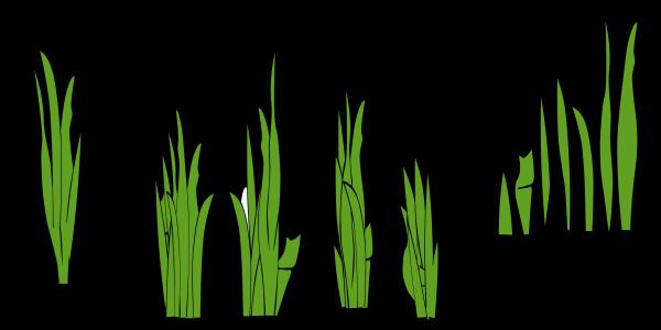 Sea Grass clipart