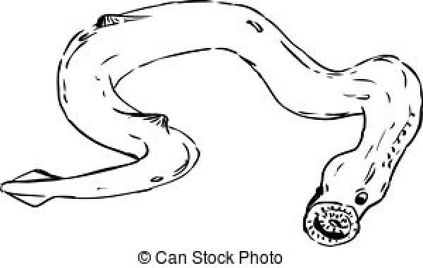 Sea Lamprey clipart