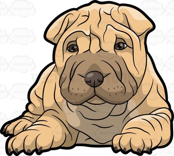 Sharpei clipart