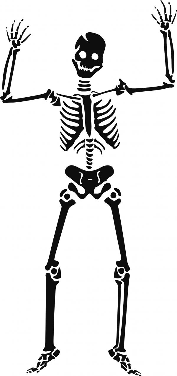 Skeleton svg