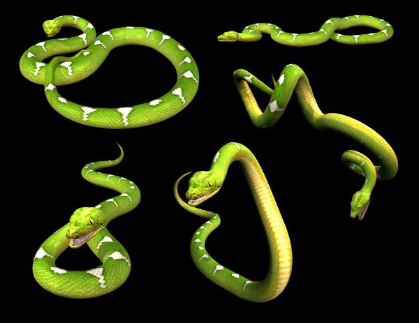 preview Smooth Green Snake svg