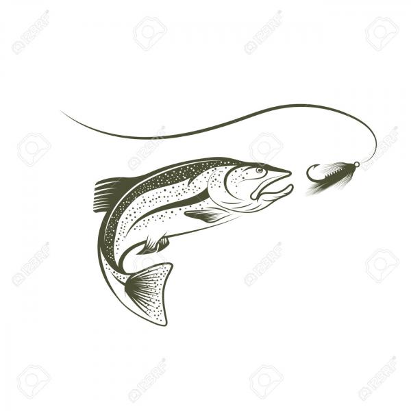 preview Sockeye Salmon clipart